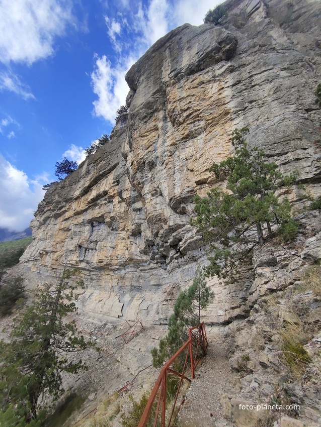 Скалистый обрыв южного склона Ялтинской яйлы вдоль экологического маршрута "Штангеевская тропа" на территории Ялтинского горно-лесного заповедника.