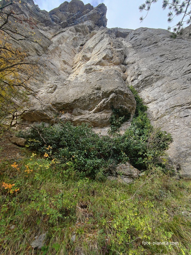 Скалистый обрыв южного склона Ялтинской яйлы вдоль экологического маршрута "Штангеевская тропа" на территории Ялтинского горно-лесного заповедника.
