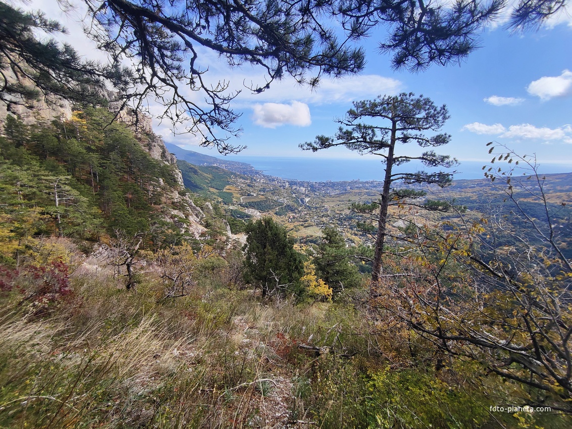 Вдоль экологического маршрута "Штангеевская тропа" около утёса Ставри-Кая на территории Ялтинского горно-лесного заповедника.