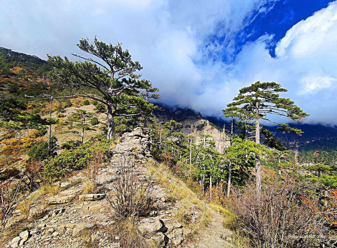 Пешеходный экологический маршрут "Штангеевская тропа" около утёса Ставри-Кая на территории Ялтинского горно-лесного заповедника.