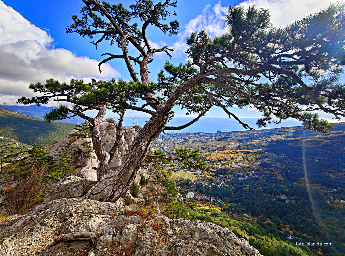 Утёс Ставри-Кая, расположенный на хребте отрога Ялтинской яйлы в Ялтинском горно-лесном заповеднике. Вид со Штангеевской тропы.