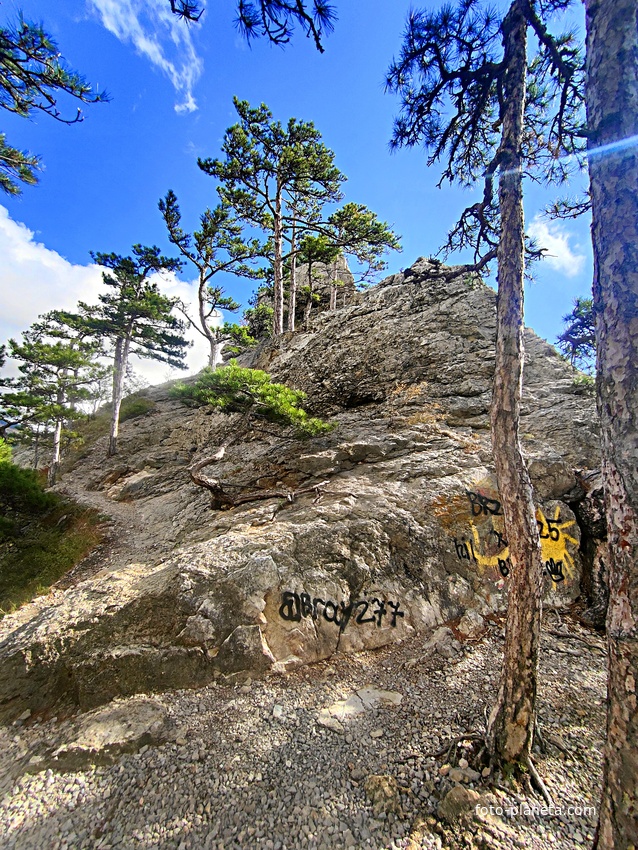 Пешеходный экологический маршрут "Штангеевская тропа" на утёсе Ставри-Кая на территории Ялтинского горно-лесного заповедника.