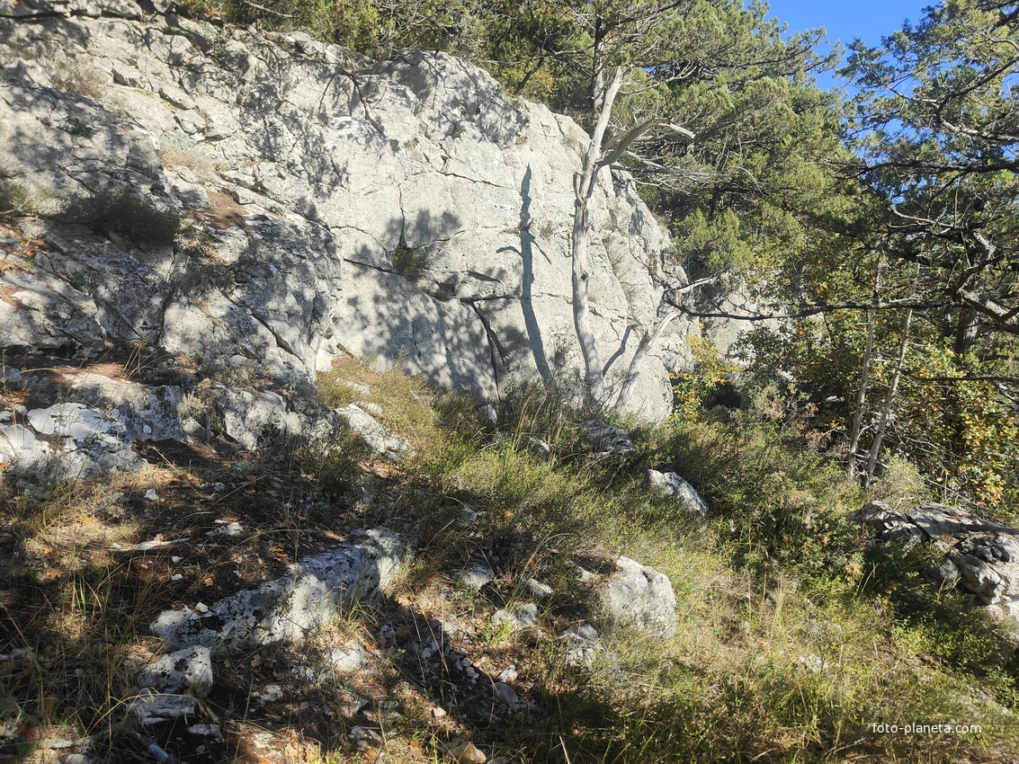 На пешеходном экологическом маршруте "Курчатовская тропа" Ялтинского горно-лесного природного заповедника.