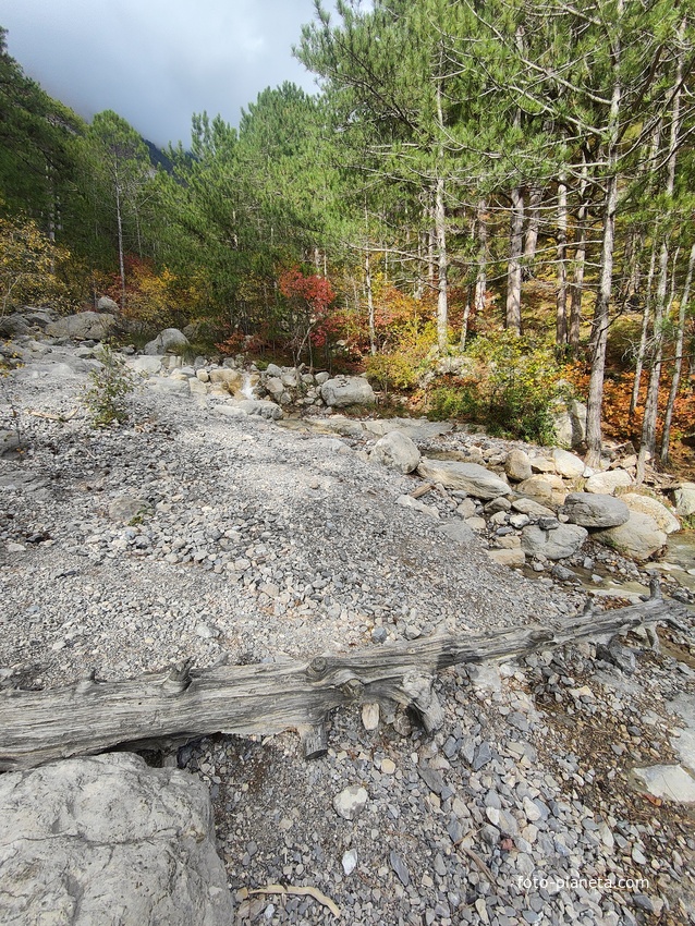 Пешеходный экологический маршрут "Боткинская тропа" на территории Ялтинского горно-лесного заповедника. Водопад на речке Яузлар.