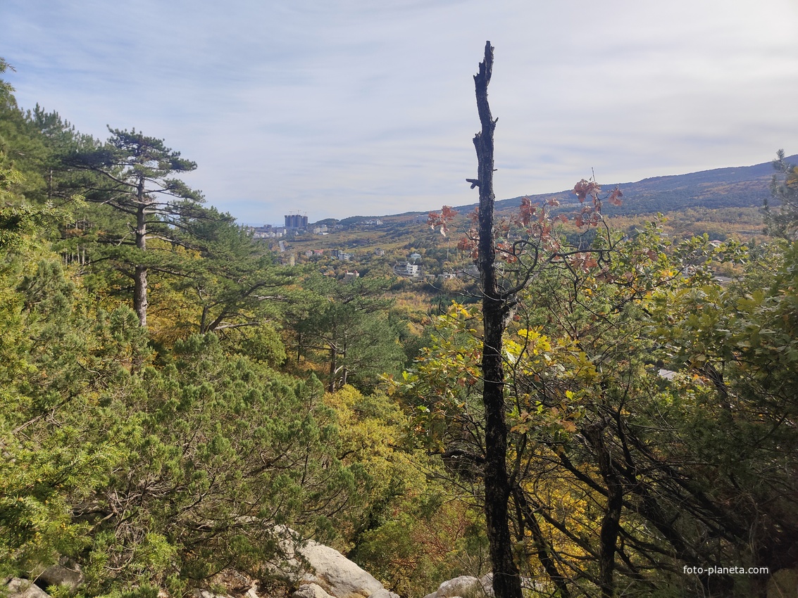 Вдоль пешеходного экологического маршрута "Боткинская тропа" на территории Ялтинского горно-лесного заповедника. Вид в сторону Ялты.
