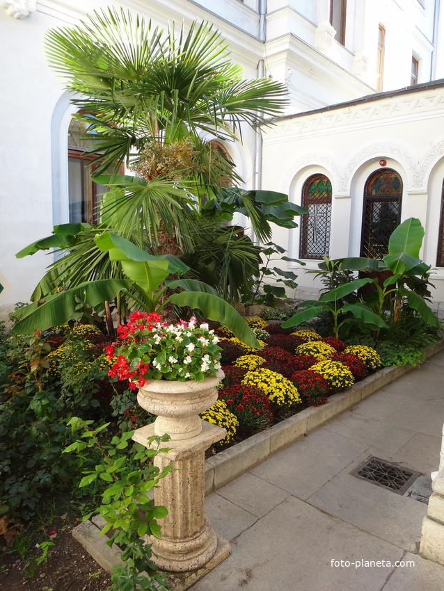 Дворцово-парковый ансамбль Ливадийского дворца. Декоративно-цветочная композиция с бананами и пальмой у стен Крестовоздвиженского храма.