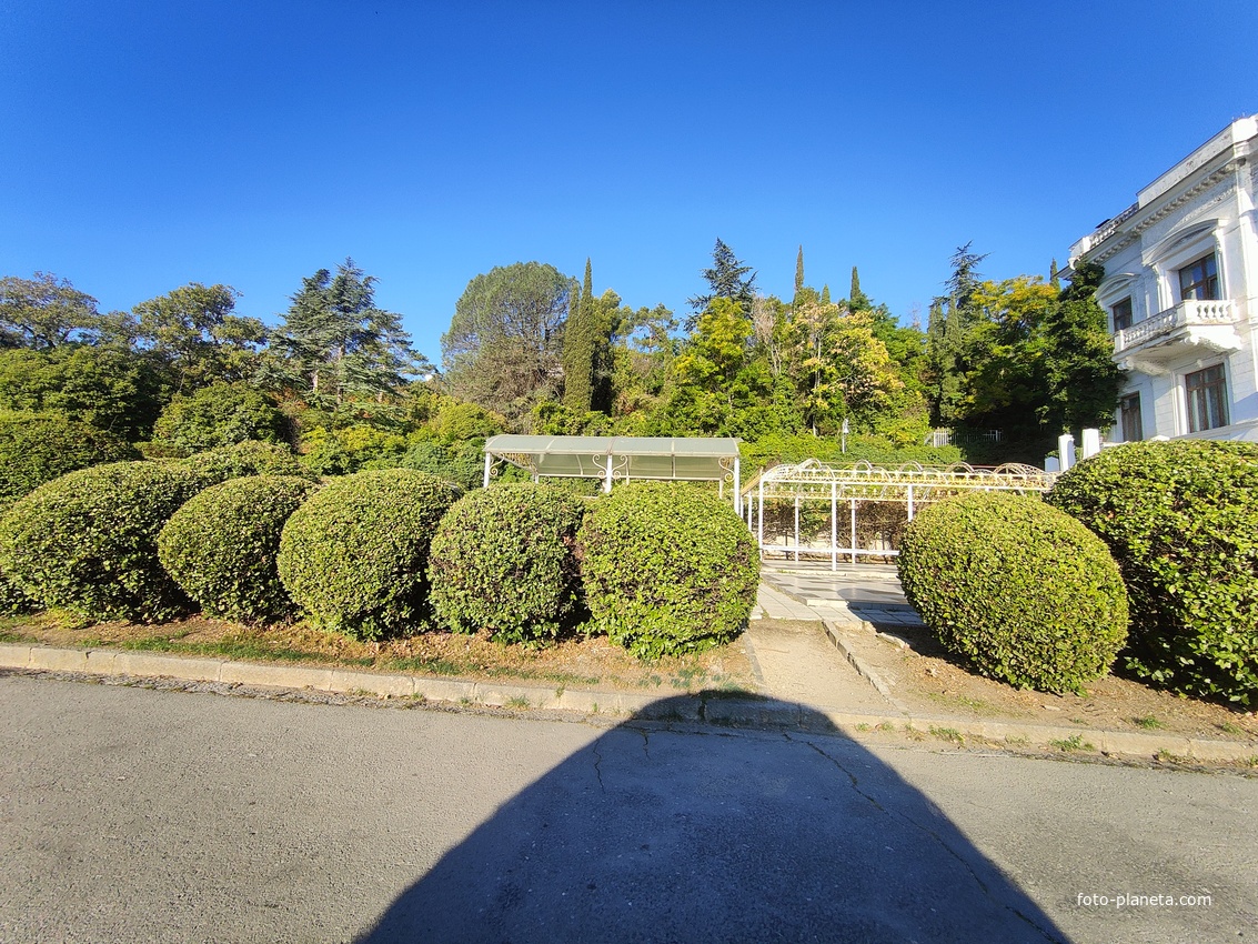 Дворцово-парковый ансамбль Ливадийского дворца. Парк-памятник садово-паркового искусства.