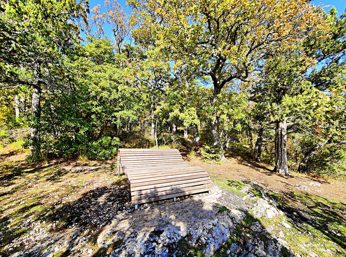 На пешеходном экологическом маршруте "Курчатовская тропа" Ялтинского горно-лесного природного заповедника. Скамейка для отдыха.