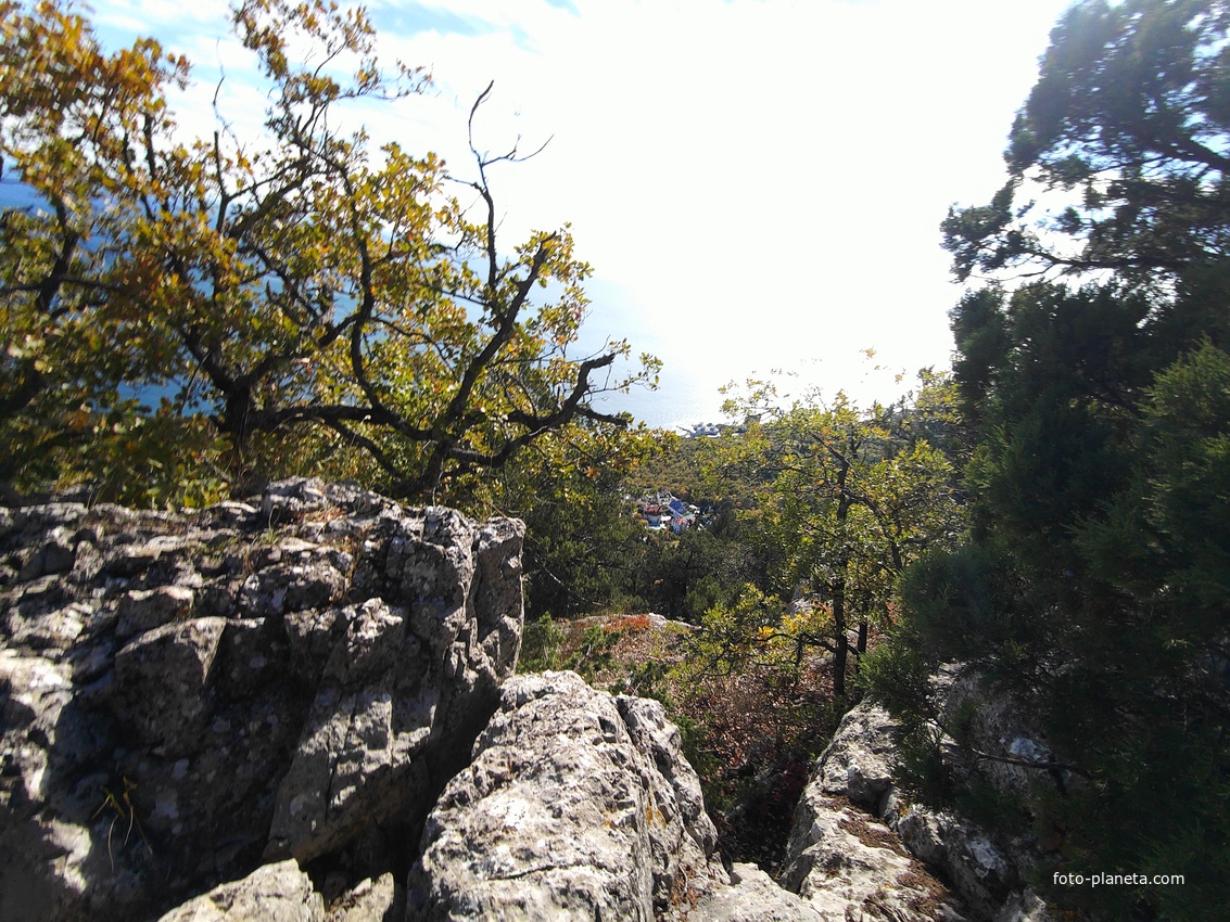 На пешеходном экологическом маршруте "Курчатовская тропа" Ялтинского горно-лесного природного заповедника. На вершине горы Ай-Никола.