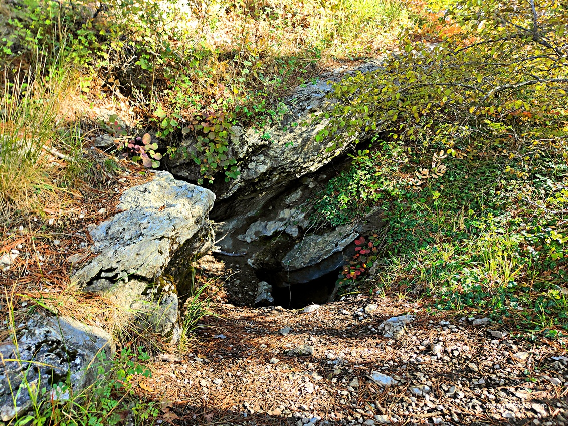 На пешеходном экологическом маршруте "Курчатовская тропа" Ялтинского горно-лесного природного заповедника. Пещера Ай-Никольская.