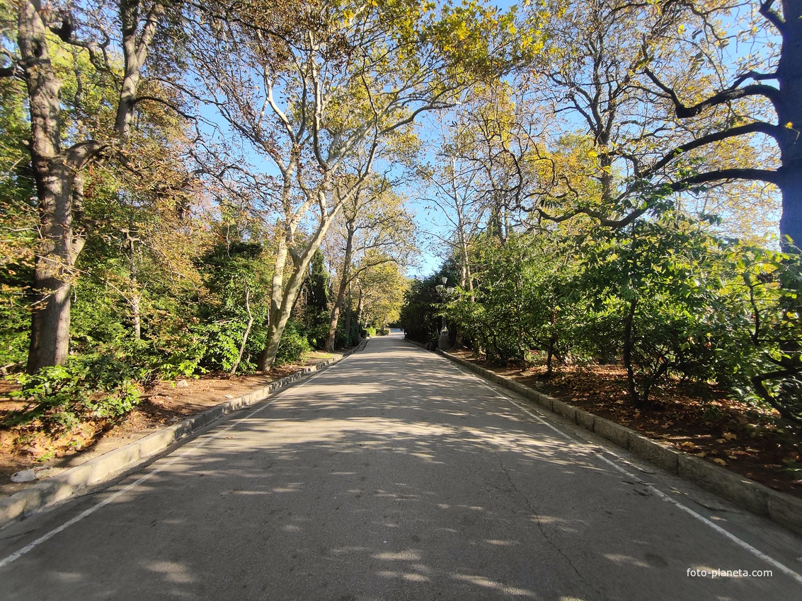 Дворцово-парковый ансамбль Ливадийского дворца. Улица Батурина.