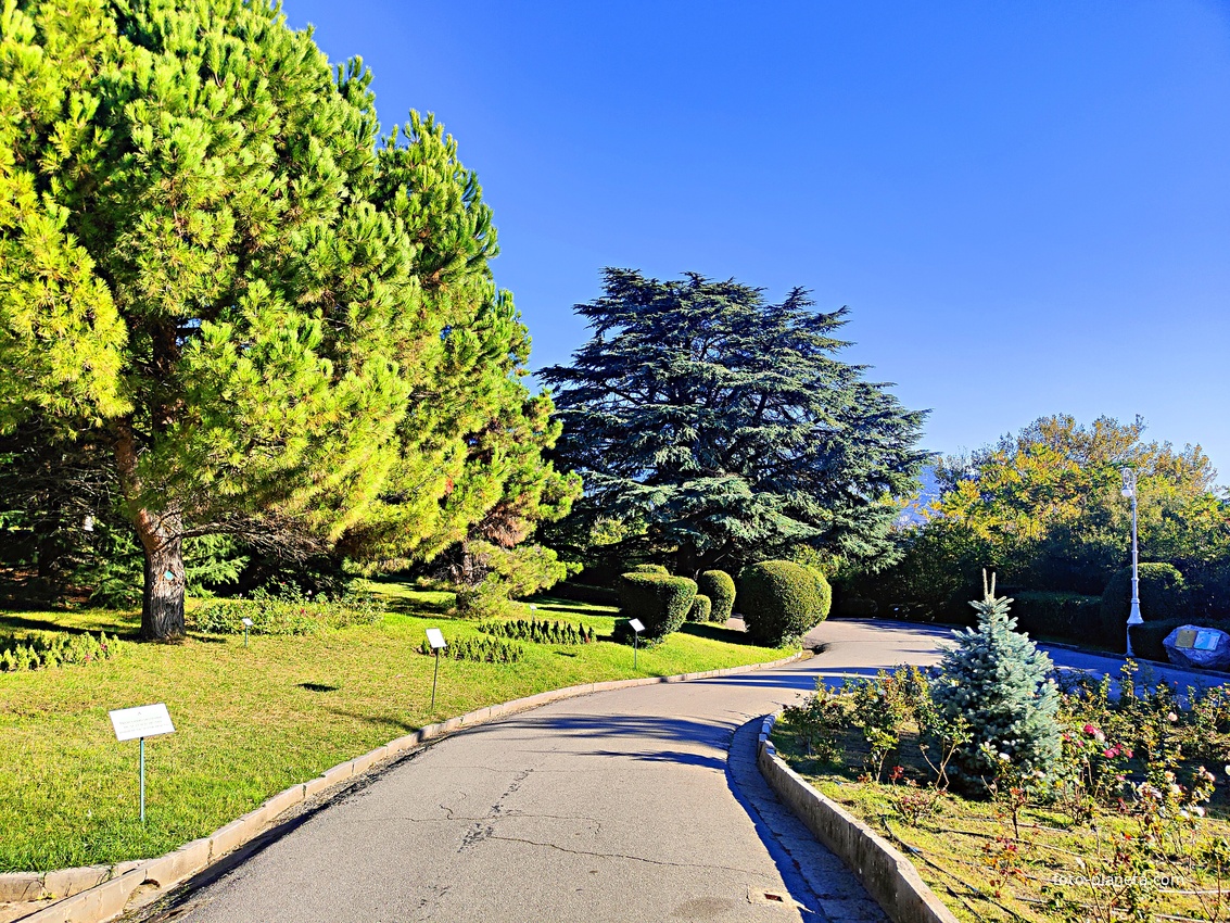 Дворцово-парковый ансамбль Ливадийского дворца. Территория парка-памятника садово-паркового искусства около Большого дворца.