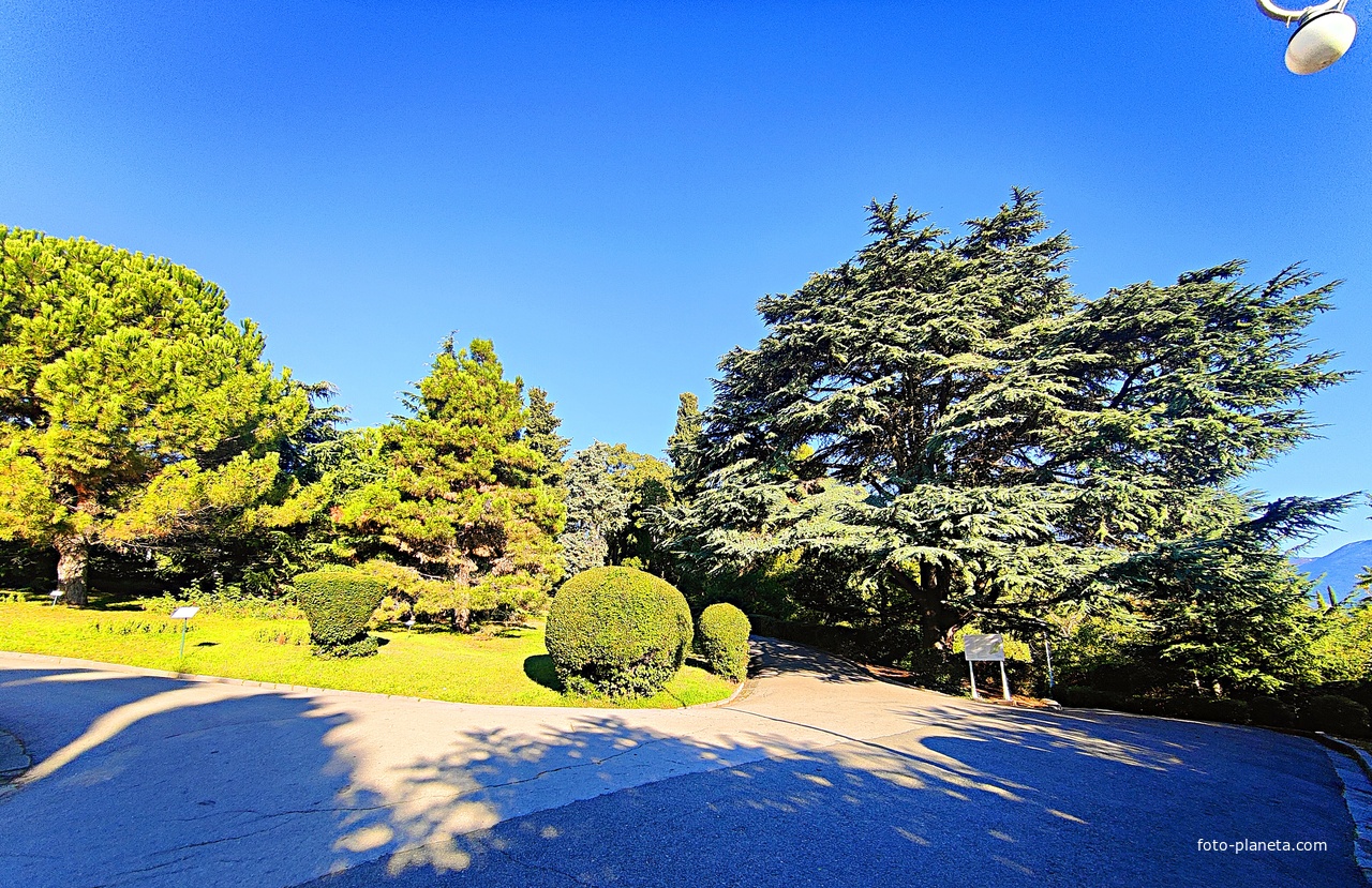 Дворцово-парковый ансамбль Ливадийского дворца. Территория парка-памятника садово-паркового искусства около Большого дворца.