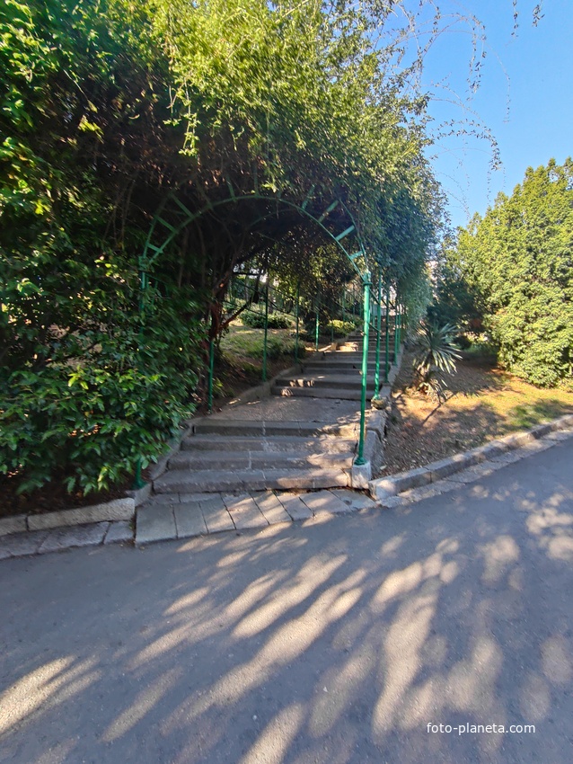 Дворцово-парковый ансамбль Ливадийского дворца. Территория парка-памятника садово-паркового искусства около Большого дворца. Пергола, созданная по желанию императрицы Марии Александровны, сохранилась до наших дней.