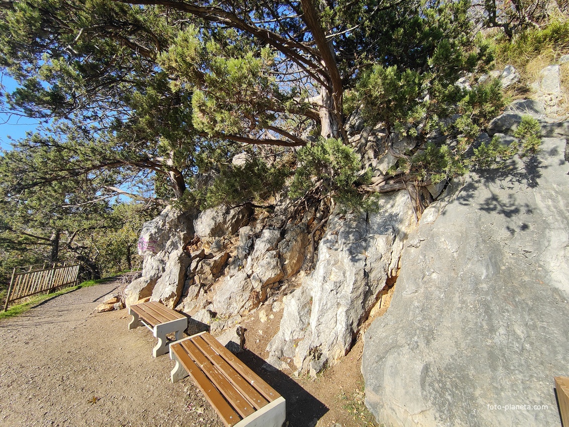 Царская, Горизонт., Солнеч. тропа вдоль ЮБК от Ливад. дворца до сан. им. Розы Люксембург в Гаспре. По ней гулял Николай II, потому – Царская. После революции -  Солнечная. Длина — 6,7 км; наклон — < 3° (поэтому гориз-я); высота над морем, — 133–203 м