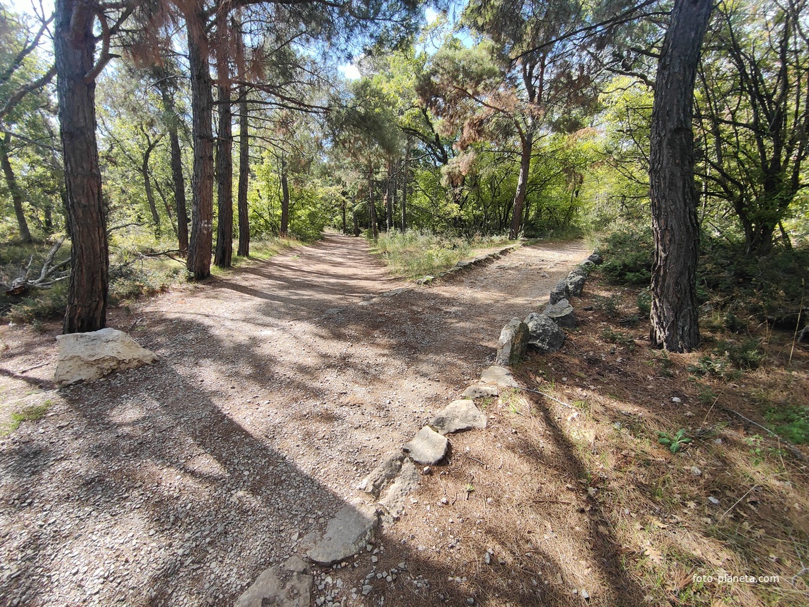 Царская, Горизонт., Солнеч. тропа вдоль ЮБК от Ливад. дворца до сан. им. Розы Люксембург в Гаспре. По ней гулял Николай II, потому – Царская. После революции -  Солнечная. Длина — 6,7 км; наклон — < 3° (поэтому гориз-я); высота над морем, — 133–203 м