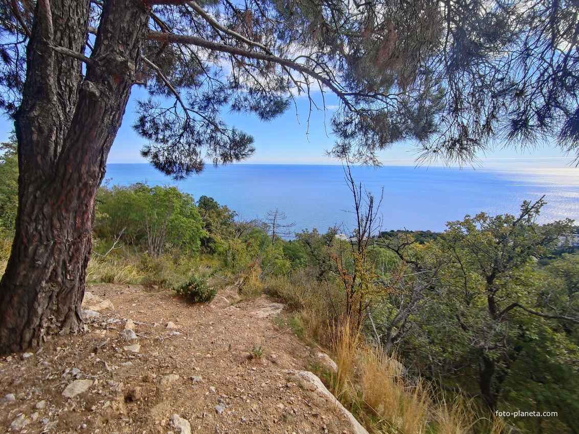 Вдоль Царской (Горизонтальной, Солнечной) тропы по ЮБК от Ливадийского дворца до сан. им. Розы Люксембург в Гаспре. Длина — 6,7 км; наклон — < 3° (поэтому горизонтальная); высота над морем, — 133–203 м.