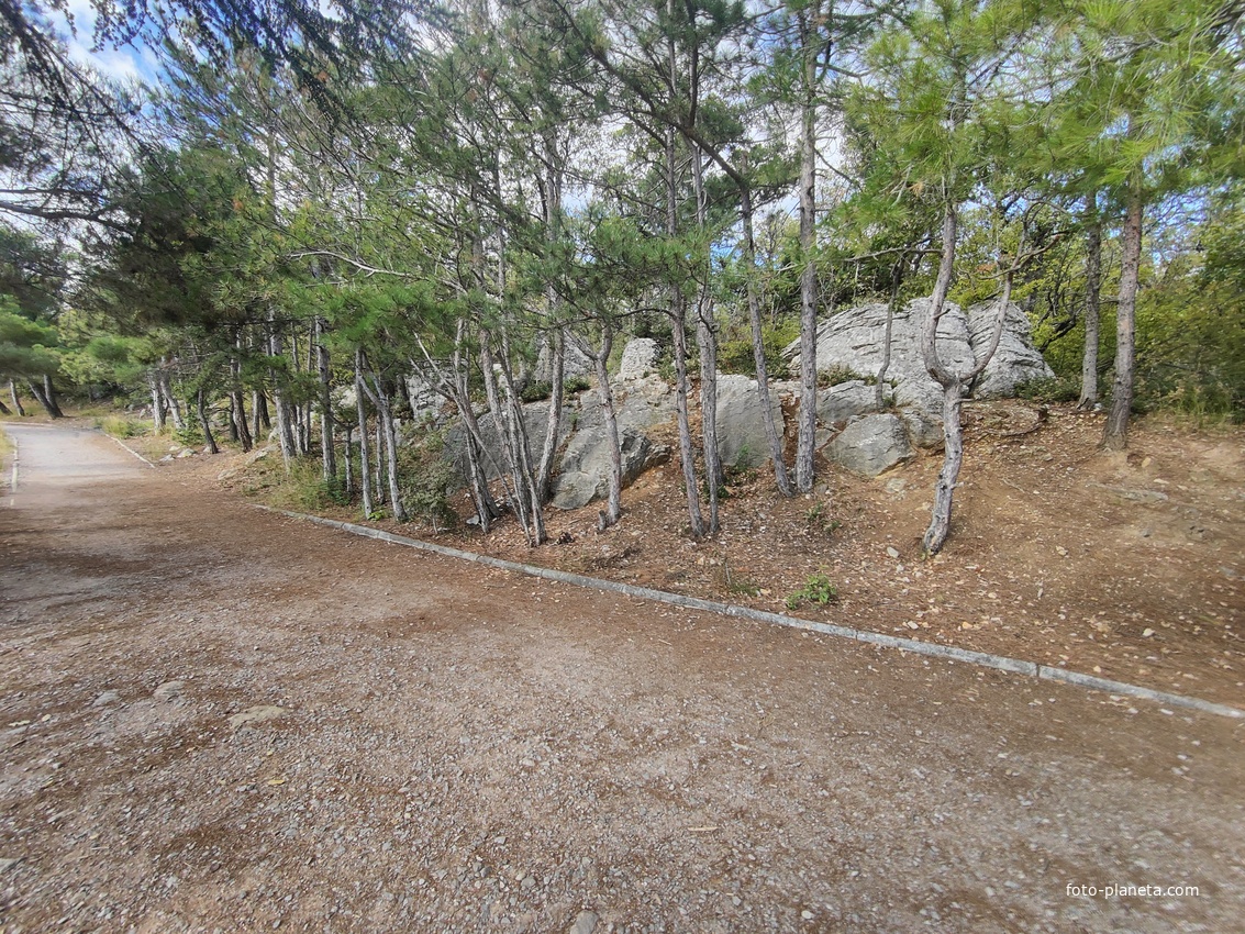 Царская, Горизонт., Солнеч. тропа вдоль ЮБК от Ливад. дворца до сан. им. Розы Люксембург в Гаспре. По ней гулял Николай II, потому – Царская. После революции -  Солнечная. Длина — 6,7 км; наклон — < 3° (поэтому гориз-я); высота над морем, — 133–203 м