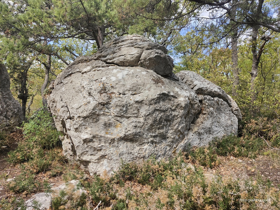 Вдоль Царской (Горизонтальной, Солнечной) тропы по ЮБК от Ливадийского дворца до сан. им. Розы Люксембург в Гаспре. Длина — 6,7 км; наклон — < 3° (поэтому горизонтальная); высота над морем, — 133–203 м.