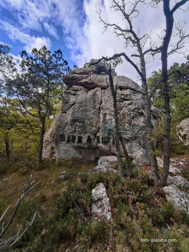 Вдоль Царской (Горизонтальной, Солнечной) тропы по ЮБК от Ливадийского дворца до сан. им. Розы Люксембург в Гаспре. Длина — 6,7 км; наклон — < 3° (поэтому горизонтальная); высота над морем, — 133–203 м.
