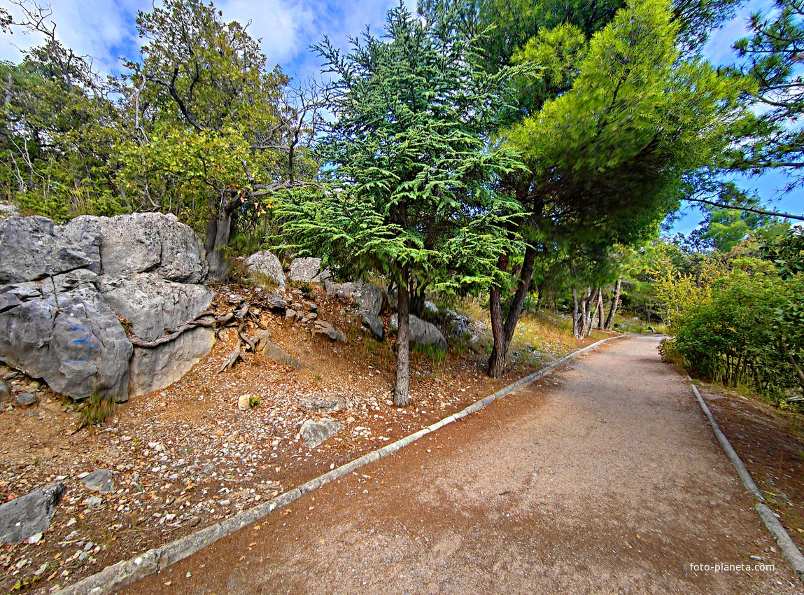 Царская, Горизонт., Солнеч. тропа вдоль ЮБК от Ливад. дворца до сан. им. Розы Люксембург в Гаспре. По ней гулял Николай II, потому – Царская. После революции -  Солнечная. Длина — 6,7 км; наклон — < 3° (поэтому гориз-я); высота над морем, — 133–203 м