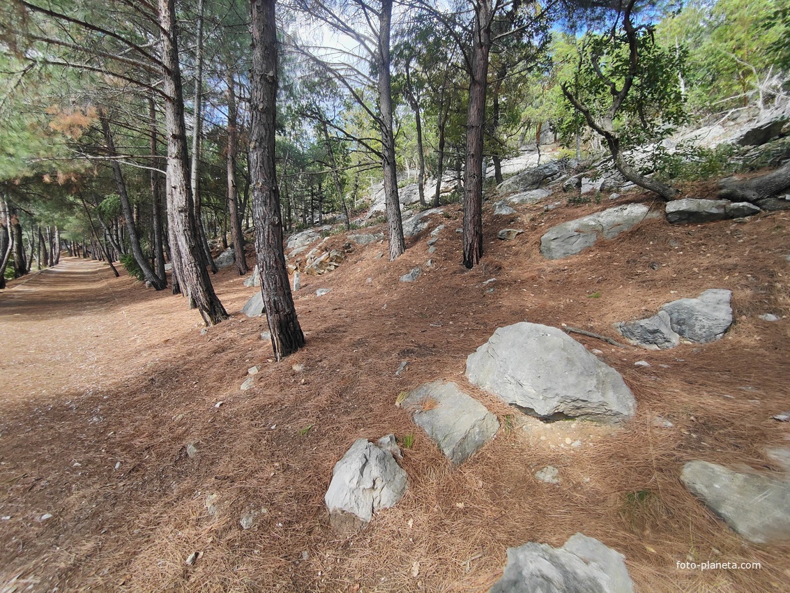 Царская, Горизонт., Солнеч. тропа вдоль ЮБК от Ливад. дворца до сан. им. Розы Люксембург в Гаспре. По ней гулял Николай II, потому – Царская. После революции -  Солнечная. Длина — 6,7 км; наклон — < 3° (поэтому гориз-я); высота над морем, — 133–203 м