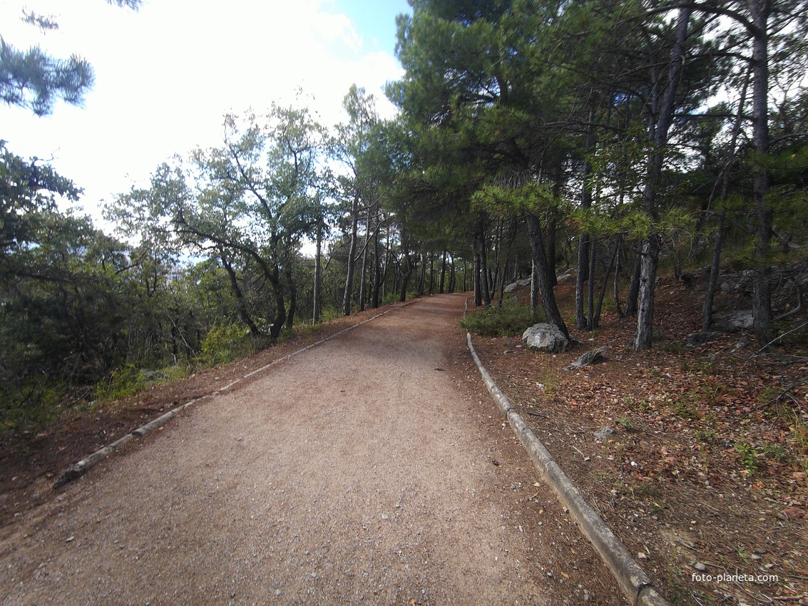 Царская, Горизонт., Солнеч. тропа вдоль ЮБК от Ливад. дворца до сан. им. Розы Люксембург в Гаспре. По ней гулял Николай II, потому – Царская. После революции -  Солнечная. Длина — 6,7 км; наклон — < 3° (поэтому гориз-я); высота над морем, — 133–203 м