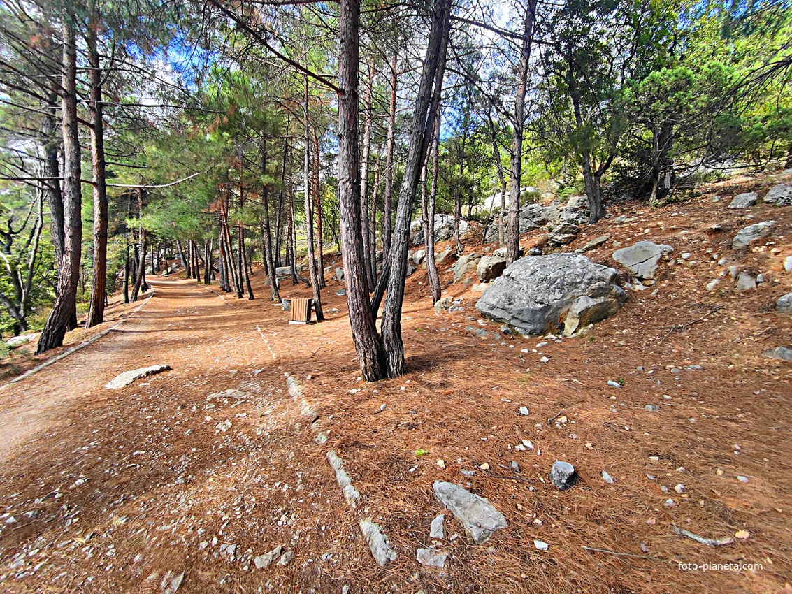 Царская, Горизонт., Солнеч. тропа вдоль ЮБК от Ливад. дворца до сан. им. Розы Люксембург в Гаспре. По ней гулял Николай II, потому – Царская. После революции -  Солнечная. Длина — 6,7 км; наклон — < 3° (поэтому гориз-я); высота над морем, — 133–203 м