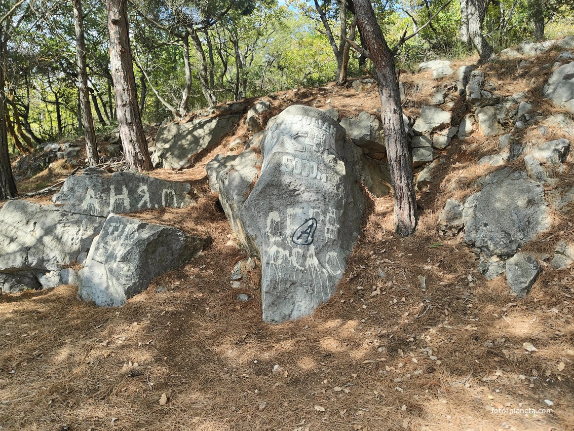 Царская (Горизонт., Солнеч.) тропа вдоль ЮБК от Ливад. дворца до сан. им. Розы Люксембург в Гаспре. Царская (гулял Николай II). Солнечная - после революции. Длина — 6,7 км; наклон — < 3° (потому гориз-я); высота над морем, — 133–203 м. Указ-ль пути.
