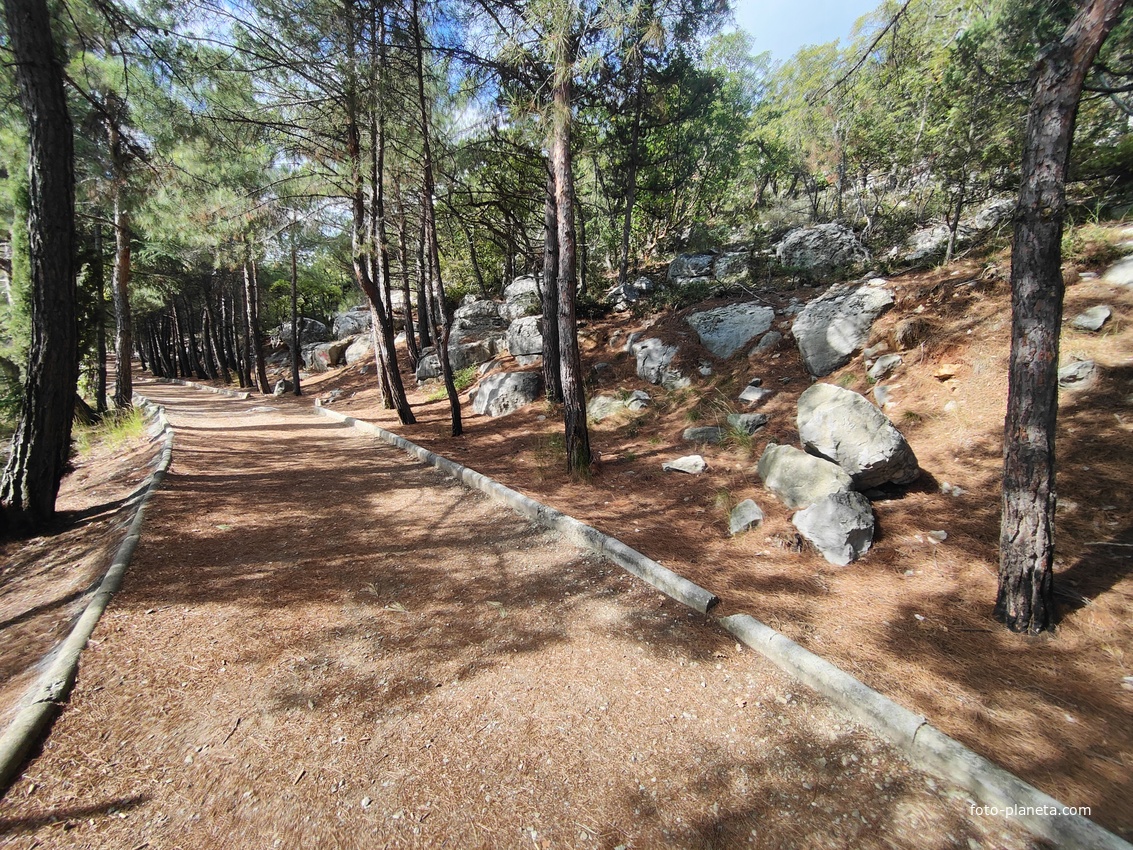 Царская, Горизонт., Солнеч. тропа вдоль ЮБК от Ливад. дворца до сан. им. Розы Люксембург в Гаспре. По ней гулял Николай II, потому – Царская. После революции -  Солнечная. Длина — 6,7 км; наклон — < 3° (поэтому гориз-я); высота над морем, — 133–203 м