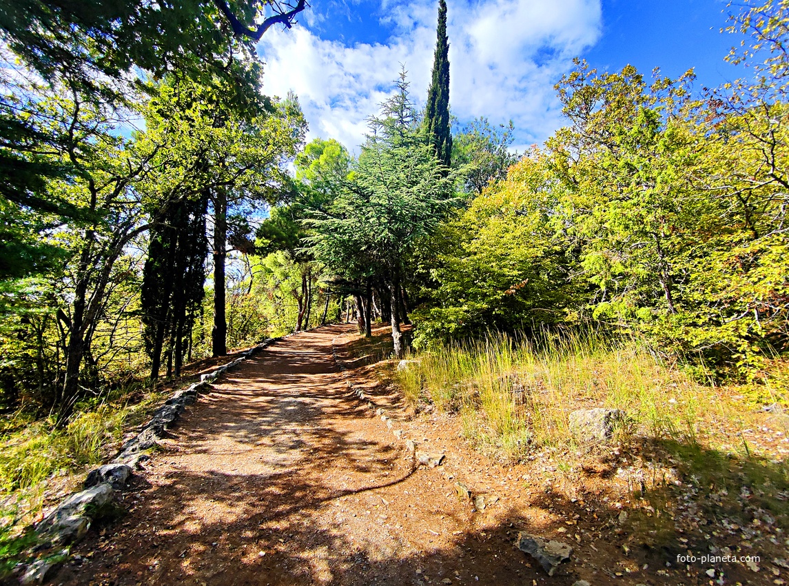Царская, Горизонт., Солнеч. тропа вдоль ЮБК от Ливад. дворца до сан. им. Розы Люксембург в Гаспре. По ней гулял Николай II, потому – Царская. После революции -  Солнечная. Длина — 6,7 км; наклон — < 3° (поэтому гориз-я); высота над морем, — 133–203 м