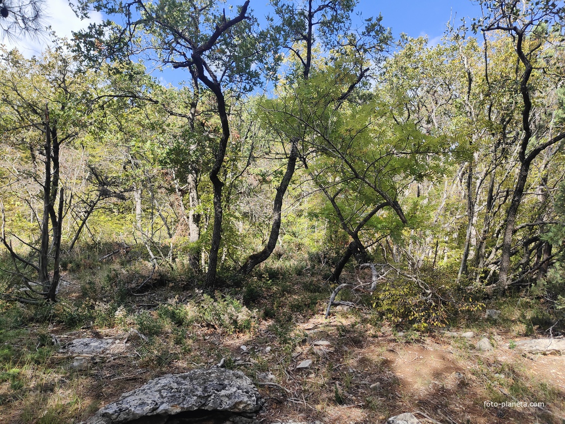 Вдоль Царской (Горизонтальной, Солнечной) тропы по ЮБК от Ливадийского дворца до сан. им. Розы Люксембург в Гаспре. Длина — 6,7 км; наклон — < 3° (поэтому горизонтальная); высота над морем, — 133–203 м.