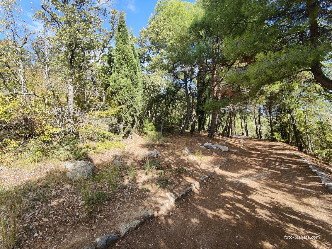 Царская, Горизонт., Солнеч. тропа вдоль ЮБК от Ливад. дворца до сан. им. Розы Люксембург в Гаспре. По ней гулял Николай II, потому – Царская. После революции -  Солнечная. Длина — 6,7 км; наклон — < 3° (поэтому гориз-я); высота над морем, — 133–203 м