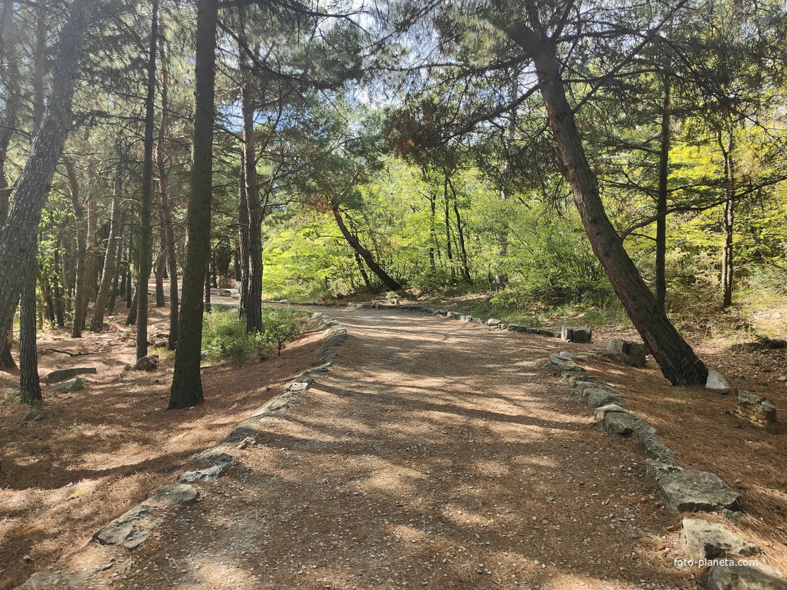 Царская, Горизонт., Солнеч. тропа вдоль ЮБК от Ливад. дворца до сан. им. Розы Люксембург в Гаспре. По ней гулял Николай II, потому – Царская. После революции -  Солнечная. Длина — 6,7 км; наклон — < 3° (поэтому гориз-я); высота над морем, — 133–203 м