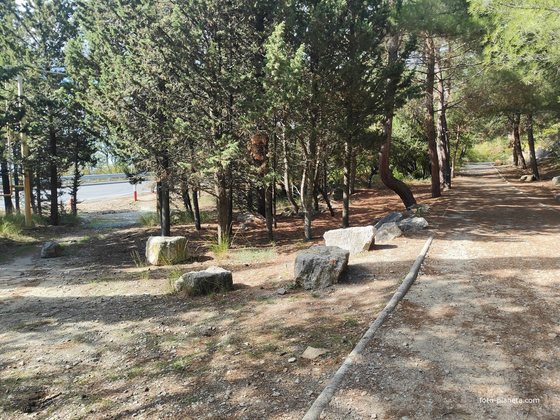 Царская, Горизонт., Солнеч. тропа вдоль ЮБК от Ливад. дворца до сан. им. Розы Люксембург в Гаспре. По ней гулял Николай II, потому – Царская. После революции -  Солнечная. Длина — 6,7 км; наклон — < 3° (поэтому гориз-я); высота над морем, — 133–203 м