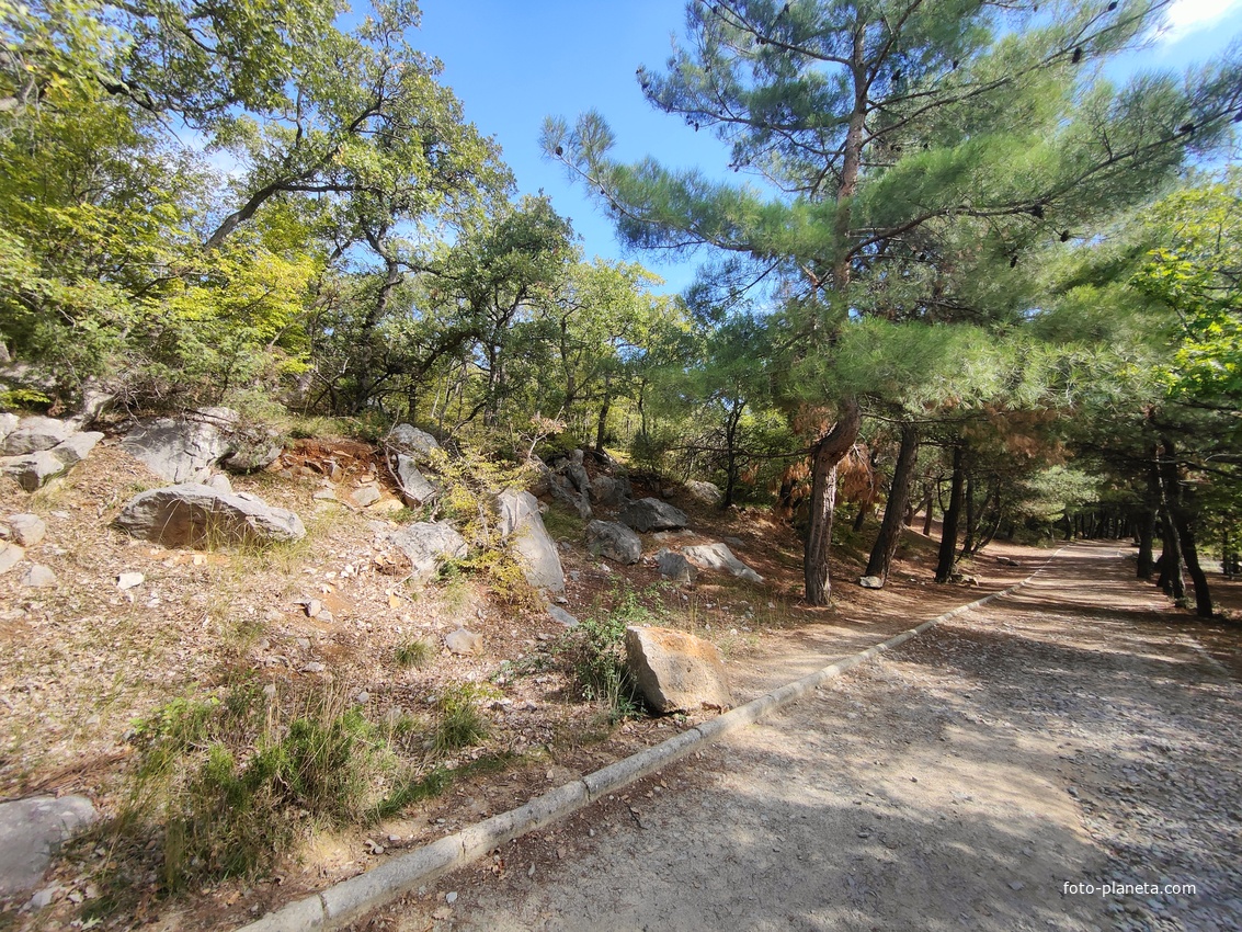 Царская, Горизонт., Солнеч. тропа вдоль ЮБК от Ливад. дворца до сан. им. Розы Люксембург в Гаспре. По ней гулял Николай II, потому – Царская. После революции -  Солнечная. Длина — 6,7 км; наклон — < 3° (поэтому гориз-я); высота над морем, — 133–203 м