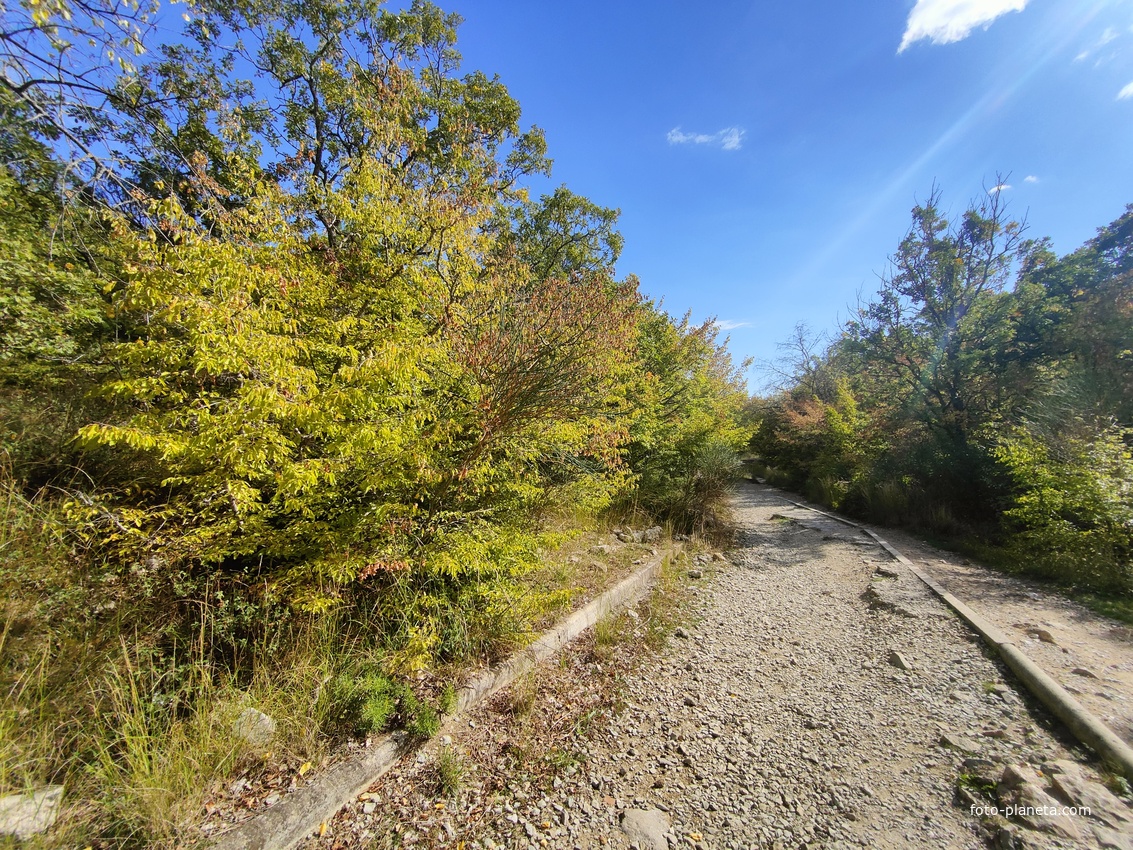 Царская, Горизонт., Солнеч. тропа вдоль ЮБК от Ливад. дворца до сан. им. Розы Люксембург в Гаспре. По ней гулял Николай II, потому – Царская. После революции -  Солнечная. Длина — 6,7 км; наклон — < 3° (поэтому гориз-я); высота над морем, — 133–203 м