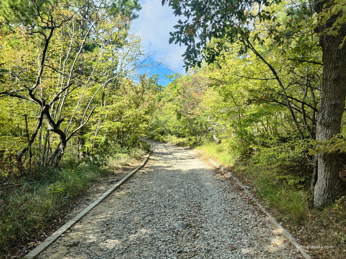 Царская, Горизонт., Солнеч. тропа вдоль ЮБК от Ливад. дворца до сан. им. Розы Люксембург в Гаспре. По ней гулял Николай II, потому – Царская. После революции -  Солнечная. Длина — 6,7 км; наклон — < 3° (поэтому гориз-я); высота над морем, — 133–203 м