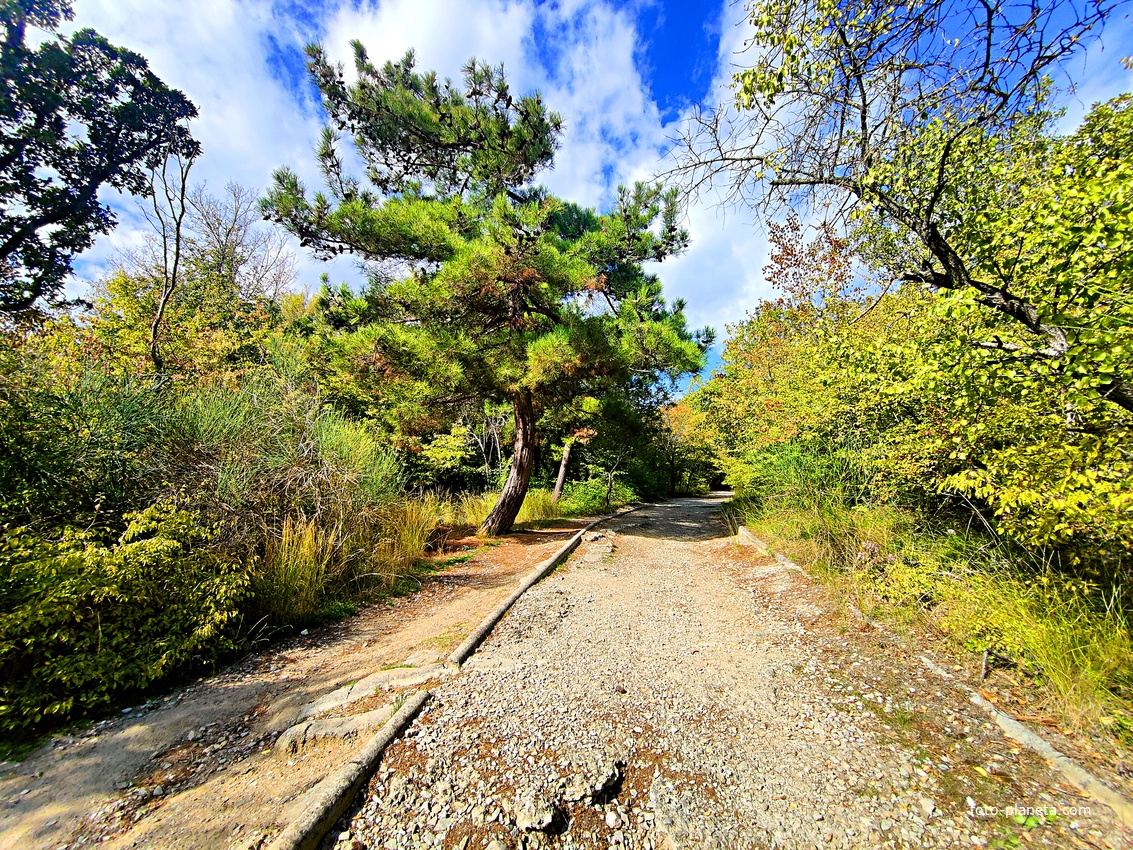Царская, Горизонт., Солнеч. тропа вдоль ЮБК от Ливад. дворца до сан. им. Розы Люксембург в Гаспре. По ней гулял Николай II, потому – Царская. После революции -  Солнечная. Длина — 6,7 км; наклон — < 3° (поэтому гориз-я); высота над морем, — 133–203 м