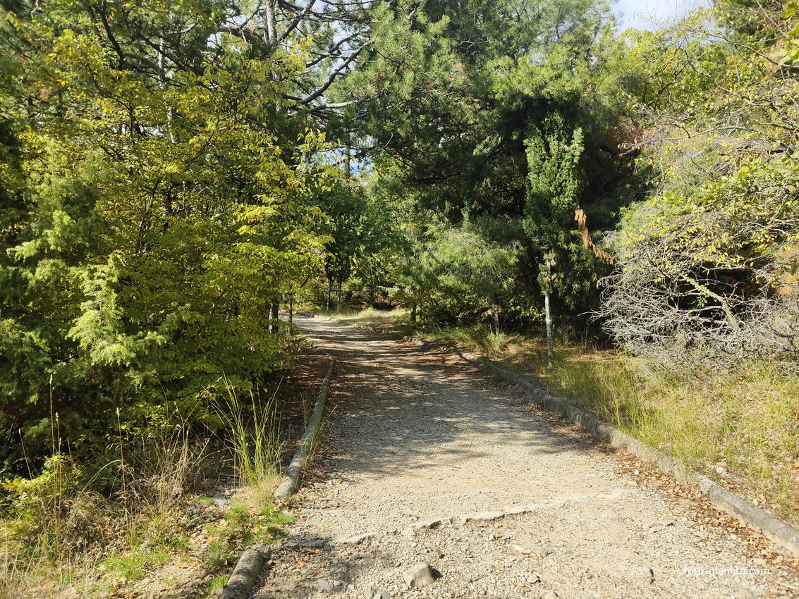 Царская, Горизонт., Солнеч. тропа вдоль ЮБК от Ливад. дворца до сан. им. Розы Люксембург в Гаспре. По ней гулял Николай II, потому – Царская. После революции -  Солнечная. Длина — 6,7 км; наклон — < 3° (поэтому гориз-я); высота над морем, — 133–203 м