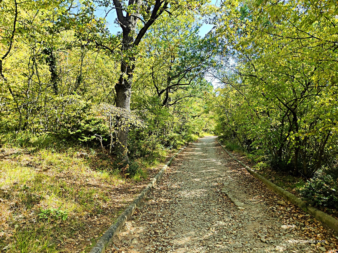 Царская, Горизонт., Солнеч. тропа вдоль ЮБК от Ливад. дворца до сан. им. Розы Люксембург в Гаспре. По ней гулял Николай II, потому – Царская. После революции -  Солнечная. Длина — 6,7 км; наклон — < 3° (поэтому гориз-я); высота над морем, — 133–203 м