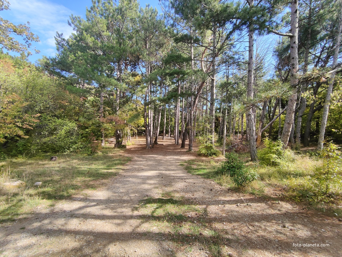 Царская, Горизонт., Солнеч. тропа вдоль ЮБК от Ливад. дворца до сан. им. Розы Люксембург в Гаспре. По ней гулял Николай II, потому – Царская. После революции -  Солнечная. Длина — 6,7 км; наклон — < 3° (поэтому гориз-я); высота над морем, — 133–203 м