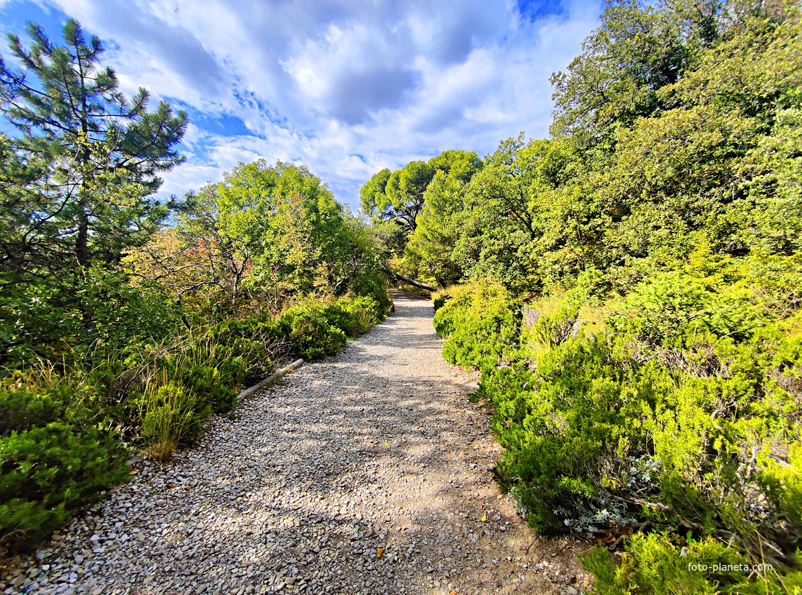 Царская, Горизонт., Солнеч. тропа вдоль ЮБК от Ливад. дворца до сан. им. Розы Люксембург в Гаспре. По ней гулял Николай II, потому – Царская. После революции -  Солнечная. Длина — 6,7 км; наклон — < 3° (поэтому гориз-я); высота над морем, — 133–203 м