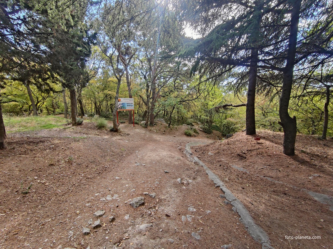 Царская, Горизонт., Солнеч. тропа вдоль ЮБК от Ливад. дворца до сан. им. Розы Люксембург в Гаспре. По ней гулял Николай II, потому – Царская. После революции -  Солнечная. Длина — 6,7 км; наклон — < 3° (поэтому гориз-я); высота над морем, — 133–203 м