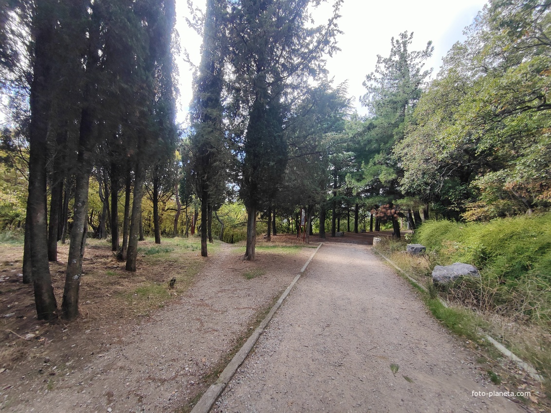 Царская, Горизонт., Солнеч. тропа вдоль ЮБК от Ливад. дворца до сан. им. Розы Люксембург в Гаспре. По ней гулял Николай II, потому – Царская. После революции -  Солнечная. Длина — 6,7 км; наклон — < 3° (поэтому гориз-я); высота над морем, — 133–203 м