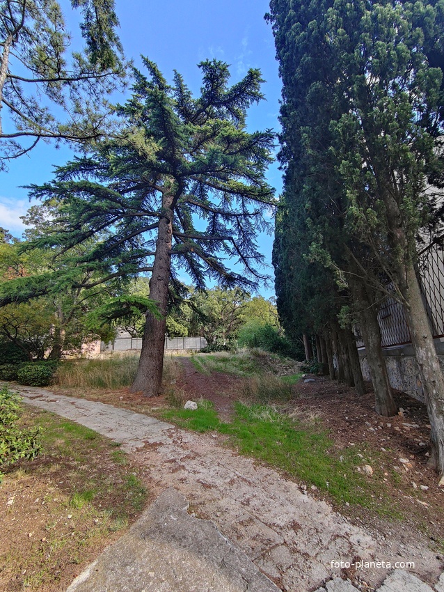 Парк Мурад-Авур  (проект Н. П. Краснова 1913–1916 гг.) - бывшая усадьба ген.-майора Н. Н. Комстадиуса.  На месте леса между оставшимися деревьями посадили 300 пирамидальных кипарисов и 50 саженцев других пород. До 2011г. - террит. санатория «Марат».