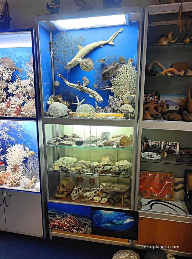 Экспозиции палеонтологического музея Валентина Вербицкого.