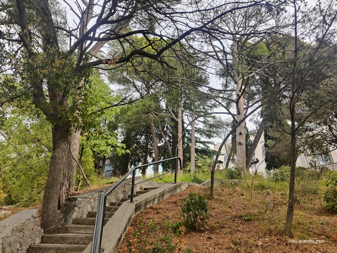 Парк "Дюльбер". Разбит в конце XIX в. Инициатор создания парка - великий князь Петр Николаевич Романов (внук Николая I). Проект парка с учётом эскизов Романова разработал ялт. арх. Н. П. Краснов, высажен с участием  крымского садовода Л. Кремера.