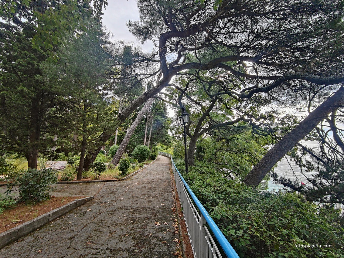 Парк "Дюльбер". Разбит в конце XIX в. Инициатор создания парка - великий князь Петр Николаевич Романов (внук Николая I). Проект парка с учётом эскизов Романова разработал ялт. арх. Н. П. Краснов, высажен с участием  крымского садовода Л. Кремера.