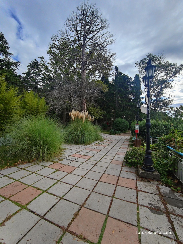 Парк "Дюльбер". Разбит в конце XIX в. Инициатор создания парка - великий князь Петр Николаевич Романов (внук Николая I). Проект парка с учётом эскизов Романова разработал ялт. арх. Н. П. Краснов, высажен с участием  крымского садовода Л. Кремера.